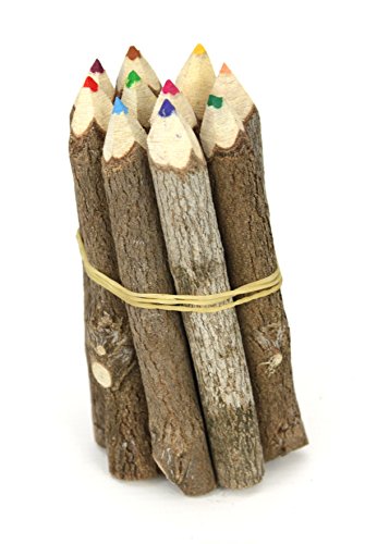 Thai Albero Ramo Ramoscello Pencil Bundle - Extra