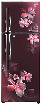 LG 284 L 3 Star with Inverter Standard Double Door Refrigerator (GL-T302RSPN, Scarlet Plumeria)
