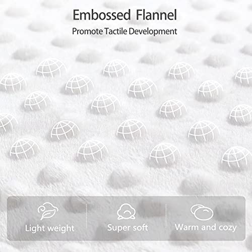 Insular Baby Blanket For Boys Girls Soft Plush Minky With Dotted Backing, Double Layer Receiving Blanket For Stroller Crib Newborn Toddler Bed Blanket 42 X 30 In, Jungle Lion #TOP4