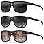17 (3 Pack) Black/Gradual Black/Gradual Brown 17 (3 Pack) Black/Gradual Black/Gradual Brown