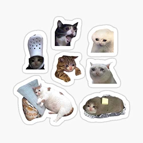Crying Cat Meme Pack Sticker - Sticker Graphic - Auto, Wall, Laptop, Cell, Truck Sticker for Windows, Cars, Trucks