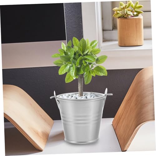 Petits seaux métal DOITOOL : pots de fleurs robustes pour compositions - 7