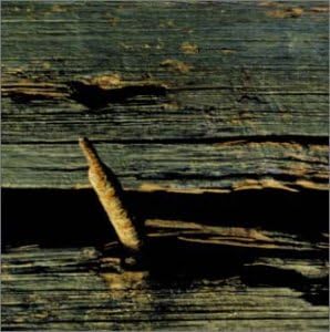 Home 13: Netherregions