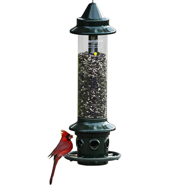 Brome Squirrel Buster Plus Squirrel Proof Bird Feeder
