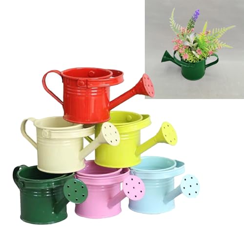Lot de 6 arrosoirs miniatures en fer résistant pour vos plantes de balcon