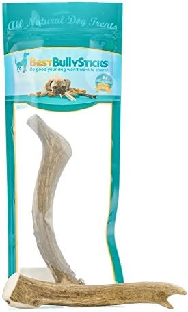 Best Bully Sticks USA 8-9 Inch Deer Antler Dog Chew (1 Antler)