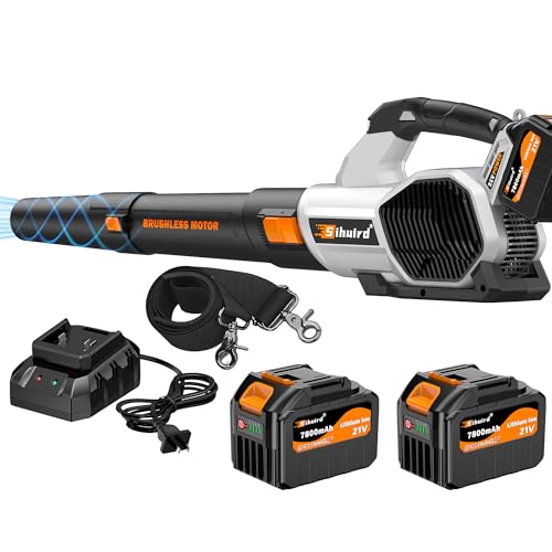 best electric leaf blowers for the money