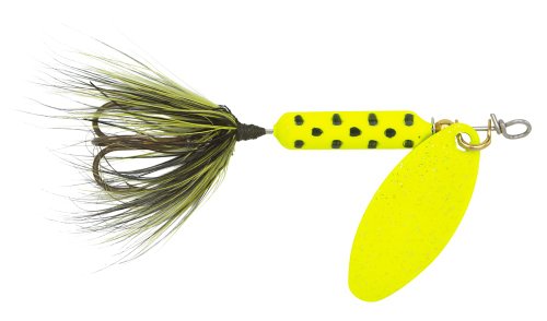 Yakima Bait Wordens 208-CHDT-G Rooster Tail in-Line Spinner, 2 1/4