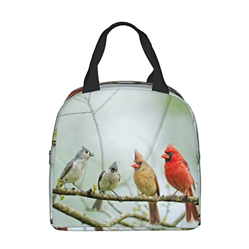 Prelerdiy Lively Birds Lunch Box - Insulated Lunch Bags For Kids Boys Girls Reusable Lunch Tote Bags, Perfect For School/Camping/Hiking/Picnic/Beach/Travel #TOP6