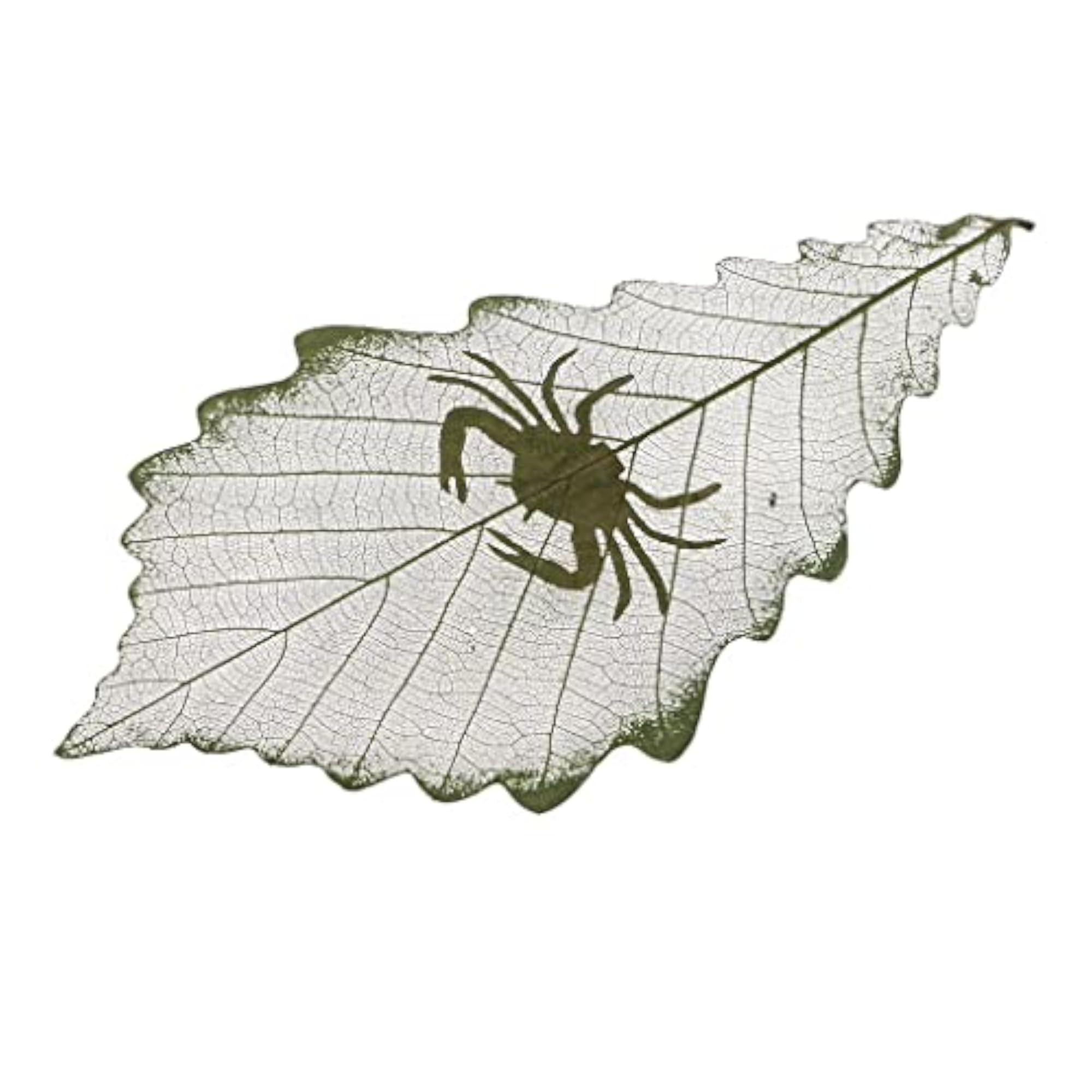 Constellations Design Leaf Carving Art Natural Dried Leaves