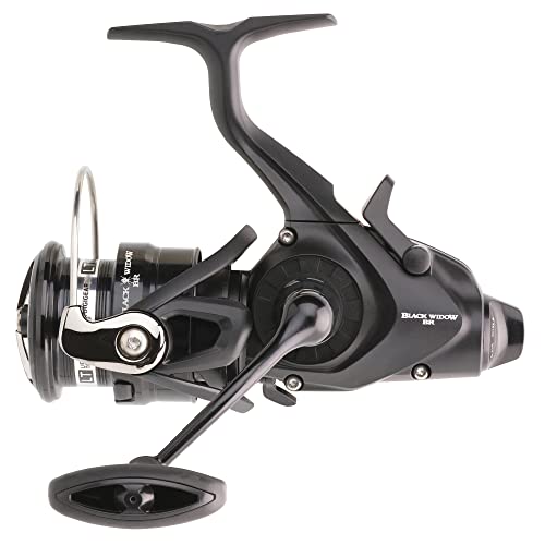 DAIWA 19 Black Widow BR LT 3000