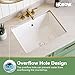 HOROW Undermount Bathroom Sink, 20x15 Inch Rectangle Bathroom Sink with Deep Basin, Anti-Splash Design, Overflow, Small Vanity Sink for Half and Full Bathroom