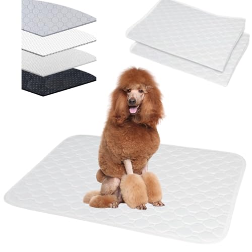 Lifetips X^_[hEv[hiStandard Poodlej 􂦂ybgV[c ybgV[c 􂦂 2Zbg ~ V[cCh V[g L ۂƐ􂦂 ~}bg ld\ Rh~  ~ ^ ^ 