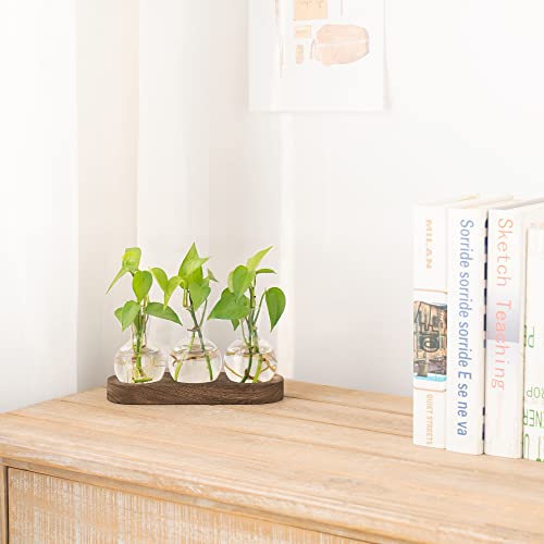 Mkono Retro Desktop Plant Propagation Station #TOP23