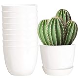 Youngever 8 Paquetes Macetas de Plástico con Platillo 14CM, Macetas Decorativas Modernas con Drenaje Pare Todas Las Plantas de Interior (White)