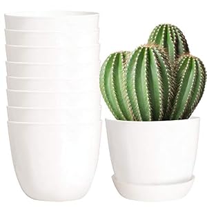 Youngever 8er-Pack 14cm Pflanzgefäße mit Untersetzern
