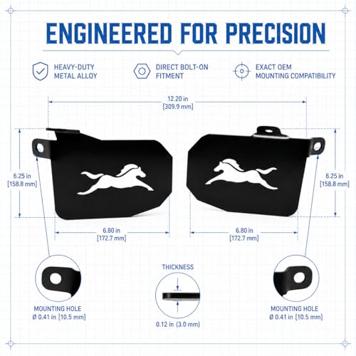 Image of Bike Foot Rest for TVS Ronin Right Left Side Model's Heavy Metal 2
