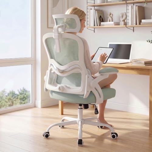 professional ergonomic chair buyer review product image