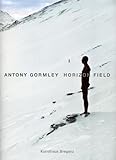 Antony Gormley: Horizon Field