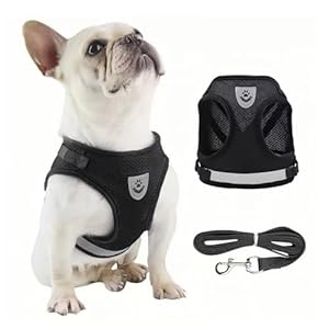 Pettorina per Cani e Guinzaglio, Imbracatura Riflettente Regolabile per Gatti con Guinzaglio, Pettorina Cane Taglia Piccola, Dog Harness For Puppies, Pettorina per Gatti Cani Piccoli Animali (S)