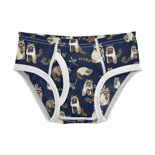 Boys' Exclusive Briefs Toddler Underwear 95% Combed Cotton Boxerbriefs 2T Raccoon Pattern 41