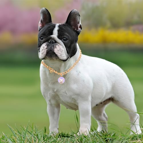 Image of HOWWFALY Dog Collar and Cat Chain Necklace Stainless Steel Adjustable 18K Gold Heart-Shaped Necklace for Small Pets Cats Kitten Puppy (Gold, 17.7 inch)