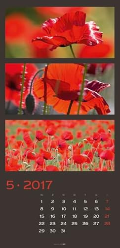 Die Farben der Natur 2017