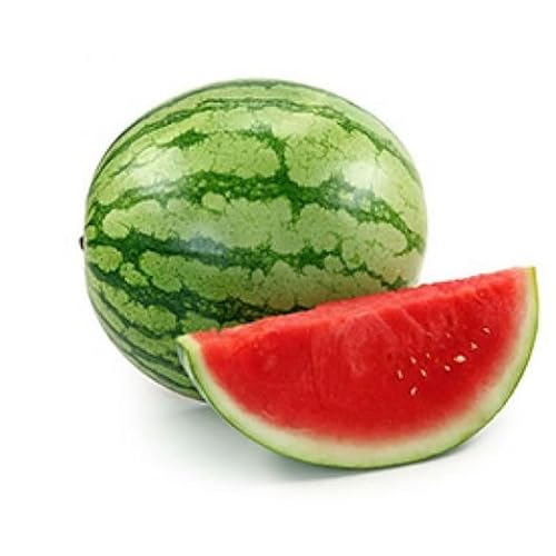 Mini pastèque bio 1 pièce
