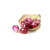 Semillas Cebolla Roja de Zalla