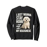 Bolognese Dog I Just Wanna Stay Home & Chill Funny Inrovert トレーナー