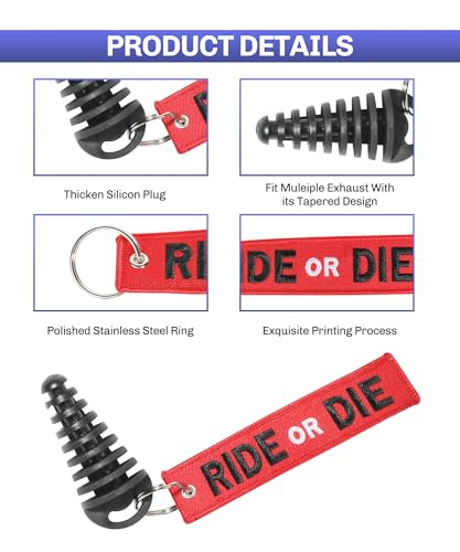 Motos, DVD moto veloci 300 Marca bylikeho (3)