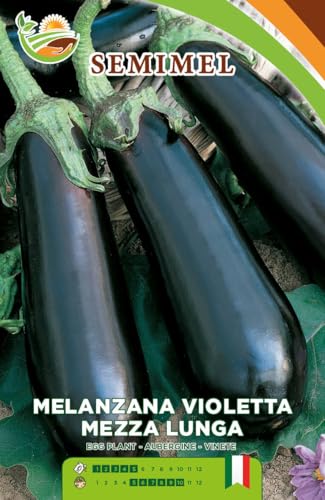 Melanzana Mezza Lunga Violetta - Semi di Melanzana Viola Allungata, Pianta Vigorosa, Frutti Ciclici e Prolungati 3 confezioni