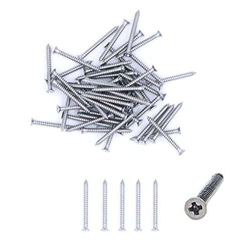 Vis autotaraudeuses en acier inoxydable tête plate Nuzamas anti-corrosion pour fixation extérieure