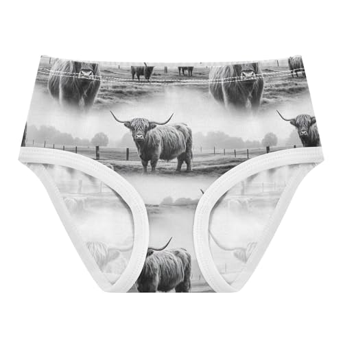 Cotton Girls Underwear Toddler Highland Cows Black White Little Girl Panties Florals Undies Kids Briefs 2t