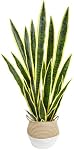 Warmplants Plante artificielle de serpents, 3ft Faux Sansevieria avec Panier, 35" Fausse mère en droit plantes, Faux parfaits pot de plantes Greenery pour la maison intérieure de bureau magasin de décoration réaliste (jaune)