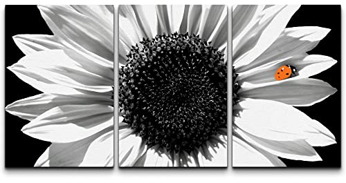wall26 Canvas Print Wall Art Set Black & White Sunflower