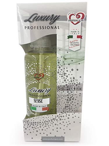 Profumi & Co–Profumo Ambiente Spray Luxury Professional-L'unico Ispirato ai profumi Personali più Famosi-Profumo Auto, Casa, Lavoro–Elimina Cattivi Odori-300 millilitri Made in Italy-Sen