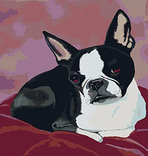 Point de Croix Estampé 11CT Chien Multicolore | Kit Broderie Débutant Adulte 40x50