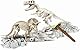 Clementoni – a1503085 – Spiel Wissenschaftliche – Trex Triceratops