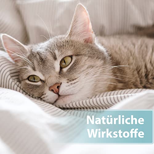 Felisept Hautpflegespray für Katzen 250ml - Milbenspray Katze - Grasmilben Katze - Juckreiz Katze - gegen Schuppen bei Katzen - Juckreiz Spray Katze - milde Pflegelotion mit natürlichen Wirkstoffen