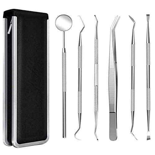 Dental Tools Stainless Steel Tooth Scaler Tools Kit Dental Pick Dental Floss Dental Tweezers Gum for Cats 6PCS