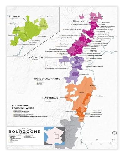 Viticulture Zone Poster Burgundy AOC Classification Vineyard Map Canvas Wall-Art Print For Wine Cellar Man Cave Dining Room Deco