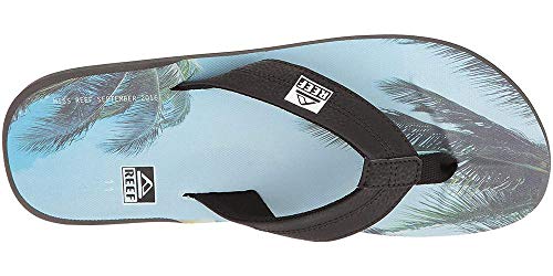 Reef RF00207670F
