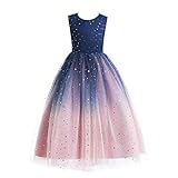 Glamulice Costume Princess Sparkle Tulle Dress Flower Girls Ombre Dresses Lace Bridesmaid Party Dance Ball Gown for Wedding Pageant Holiday Photo Shoot 7 8 Navy Blush Pink Junior Evening Gowns Prom