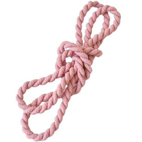 MYmama [v wAS R^Cv 1m O S _S wAANZT[ (sN)