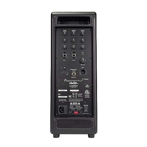Portable Wireless PA Speaker System