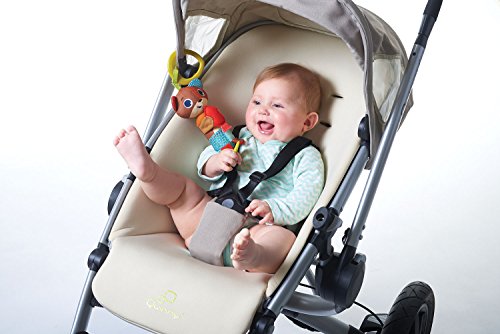 Tiny Love Tiny Smarts Isaac Wind Chime, Multicor