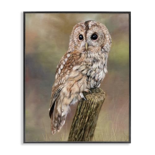 Brown Tawny Owl Woodland Wildlife, 16 x 20 Inch Framed Giclée Print