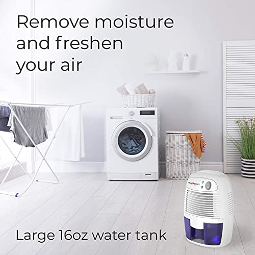 https://m.media-amazon.com/images/I/41ME8D-yCFS._SL500_.jpg