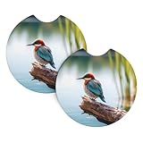 Posavasos para coche, 2 unidades, YTUOPWE Fat Lagoon Bird Picture accesorios para coche, impermeables, antideslizantes, de secado rápido para uso diario en coches y camiones